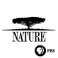 nature-pbs-f19161